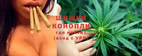 молекула духа Медногорск