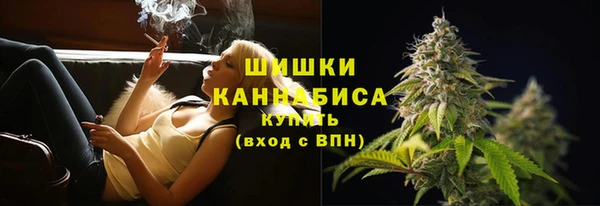 молекула духа Медногорск