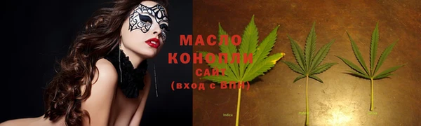 молекула духа Медногорск