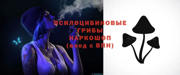 стаф Медвежьегорск