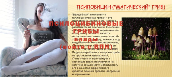 молекула духа Медногорск
