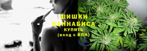 молекула духа Медногорск