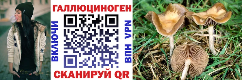 закладка  Знаменск  Галлюциногенные грибы мухоморы 