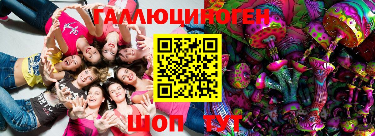 Псилоцибиновые грибы GOLDEN TEACHER  Вход с VPN  Знаменск 