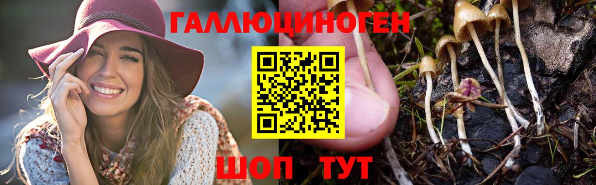 Галлюциногенные грибы ЛСД Знаменск