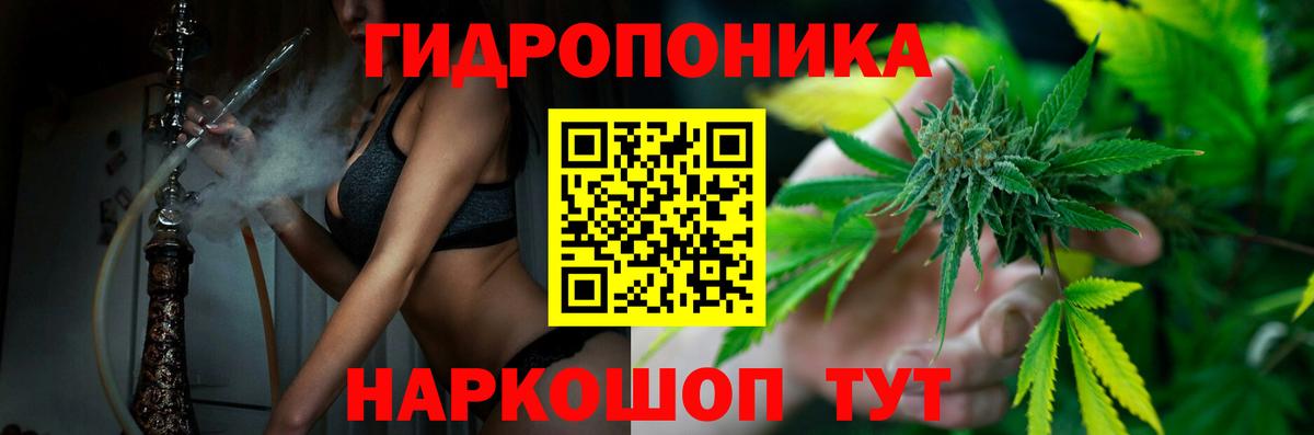 Конопля сатива Знаменск